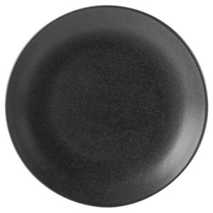24cm Graphite Coupe Plate (Pack of 6)