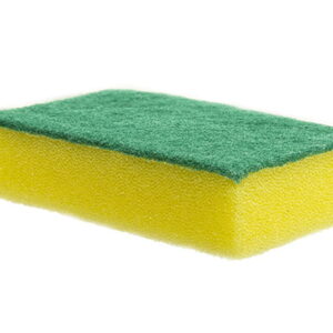 Sponge Scourer (Pack of 10)