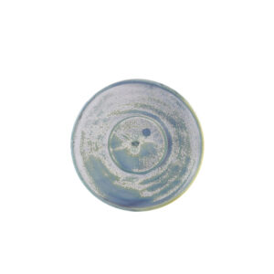 14.5cm Seafoam Coffee Saucer (Pack of 6)