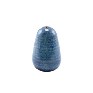 7.6cm Aqua Blue Salt Shaker (Pack of 6)