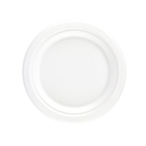 sugarcane plate