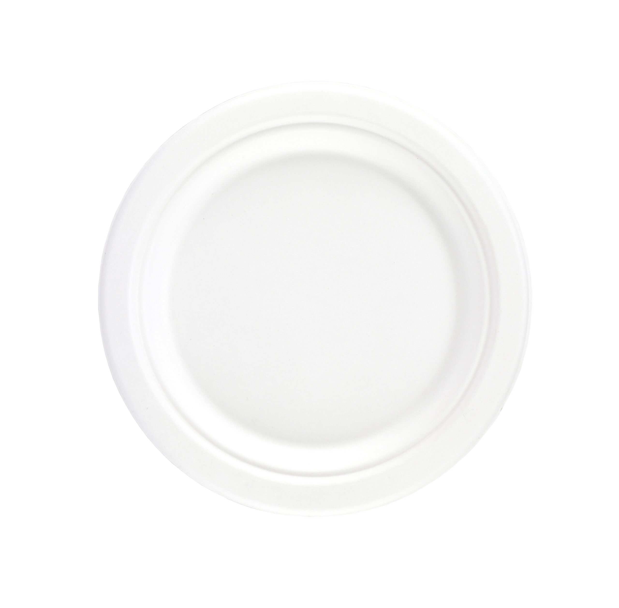 sugarcane plate