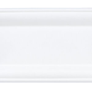 SUGARCANE bagasse RECTANGULAR TRAY
