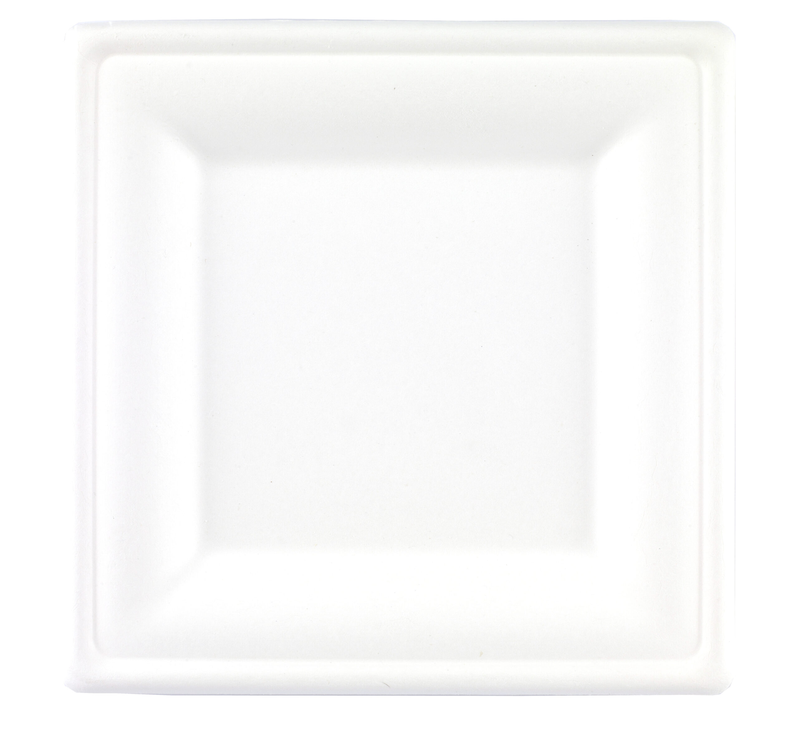 SUGARCANE SQUARE PLATE