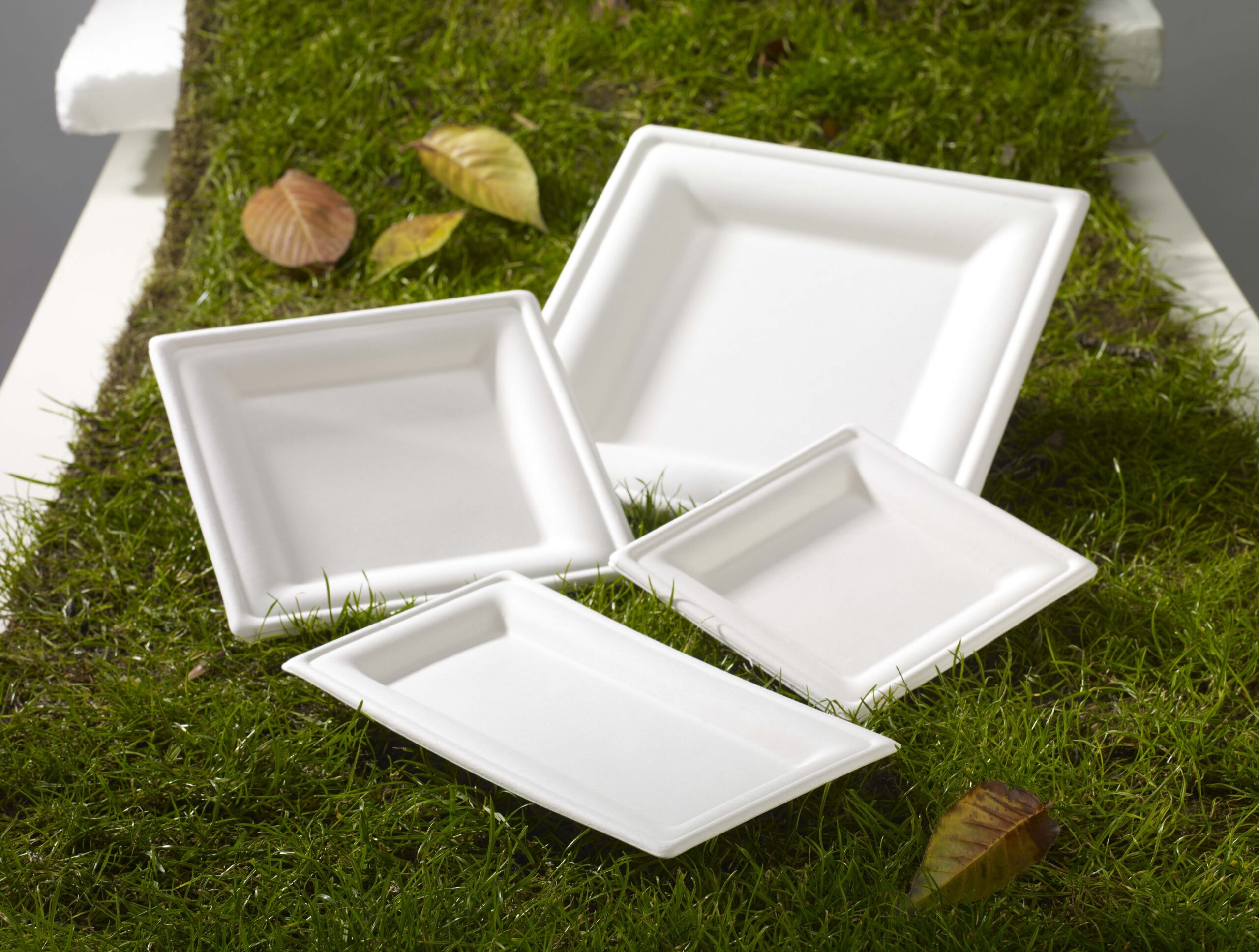 Sugarcane bagasse 26cm X 26cm Square Plates (case of 250) - Image 2